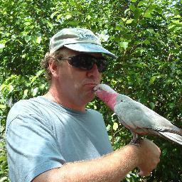 kogilligan Profile Picture