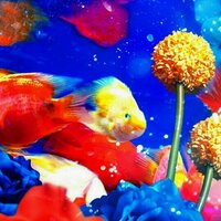 花 (@spunsugar) 's Twitter Profile