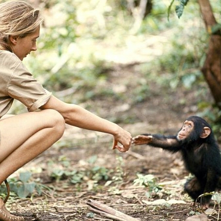 ab2bakhiet's profile picture. 