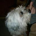 antonio abel moreno - @abelitoelbueno - Twitter