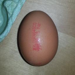 pinnersam's profile picture. 