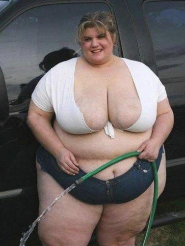 FatGirlsSexChat's profile picture. Sex Chat Rooms with sexy and horny fat girls