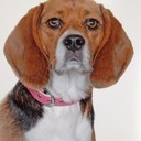 Sarah - @Sarah4Skipper - Twitter