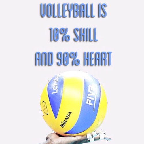 cosas de voleibol