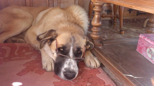 escira83's profile picture. 