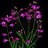 mohamaddaham47's profile image