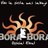 BORABORAFIESTA's profile image