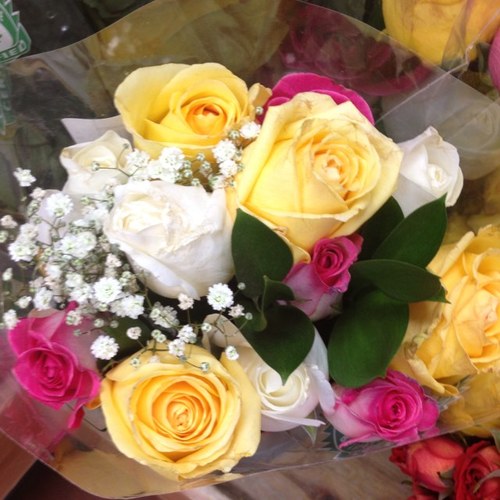 cuterainbowz443's profile picture. 