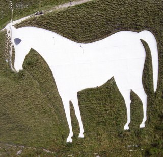 I am the White Horse of Westbury. I keep a watching eye over the wonderful town that is Westbury (Wilts).