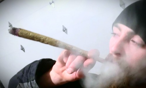 bongzilla1000's profile picture. Jack of all Blunts