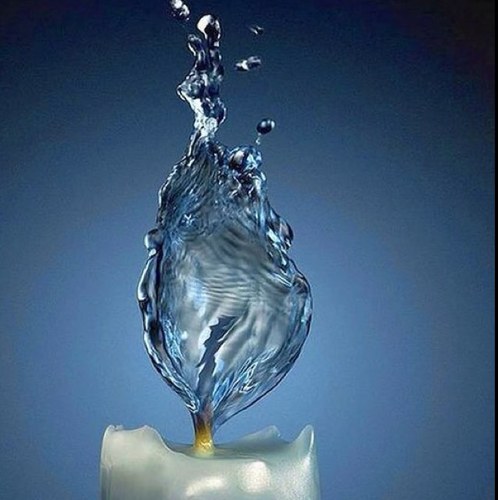 AlterEgo24_'s profile picture. ...