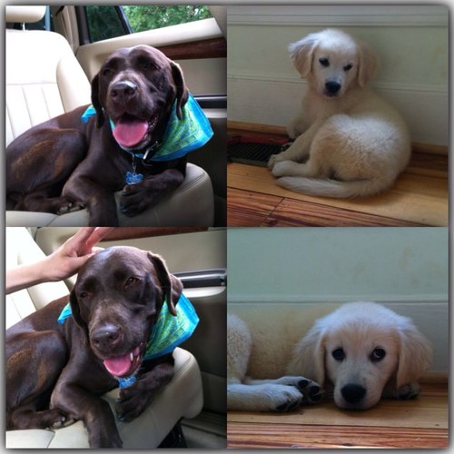 ninaPulliam's profile picture. 