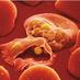 Plasmodium malariae (@plasmodium_mal) Twitter profile photo