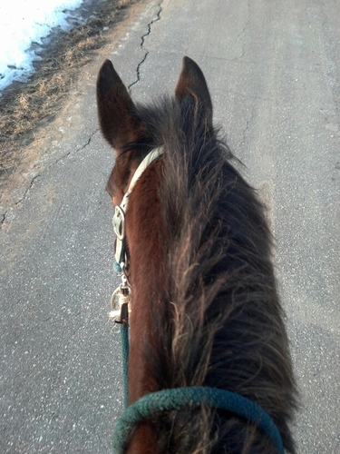 cowgirl722_'s profile picture. Never give up on what you really want to do. the person with big dreams is more powerful than the one with all the facts.