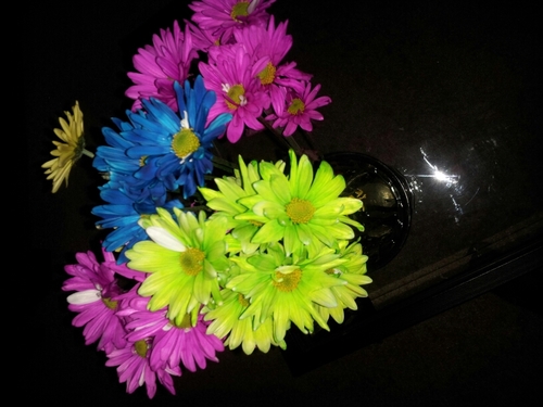 moneystandards's profile picture. XVI . &&& .