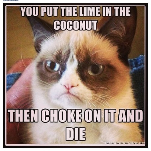 projectileX's profile picture. Jus bumminnn'. Music doe (: totally average