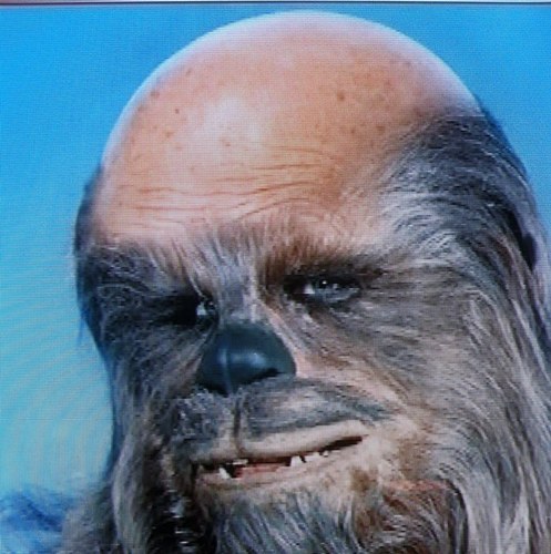 bencappy25's profile picture. 