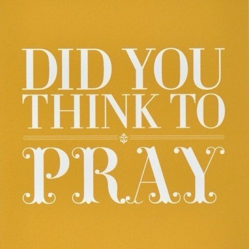 marshashep's profile picture. 