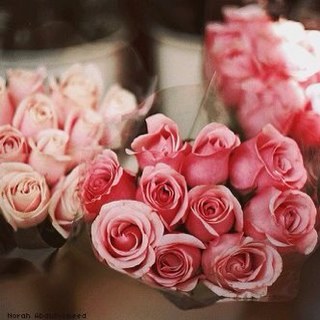 حساب دعوي بعدة لغات     ، Please see in