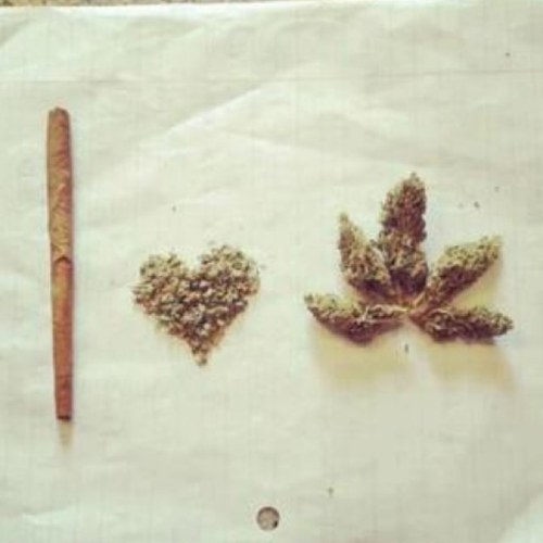 legalizeit4ever's profile picture. 