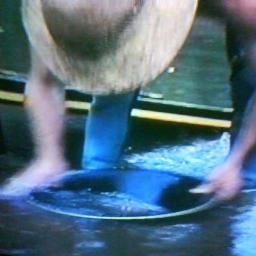 alainvigier1's profile picture. 