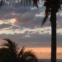 Peter Danko - @PeterDanko - Twitter