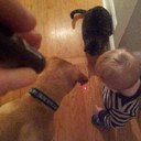 Dylan Free - @DylanFree2 - Twitter