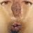 cuzaopravcs's profile image