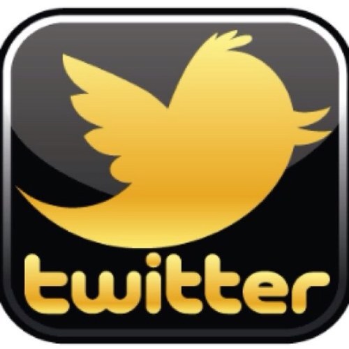 reich_it's profile picture. زيادة متابعين