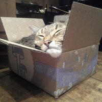 Glerum Music (@glerummusic) 's Twitter Profile Photo