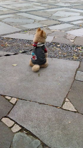 MUILEI915's profile picture. スマップ・えぷ・BTS💜なにわ男子 大好き！ヨロシクお願いしま～す🎵