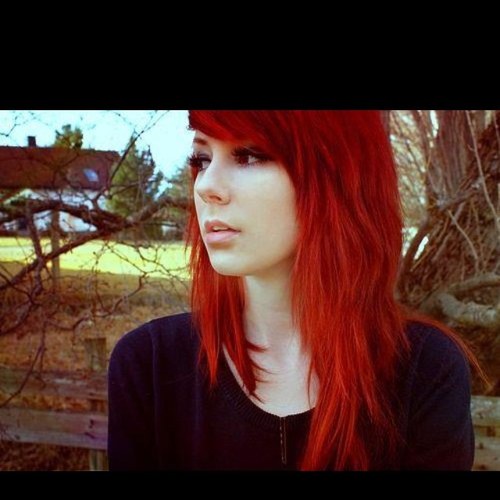 I'm pretty sure i'll get shot one day by a magical flying unicorn (: