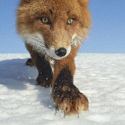 simosimoayu's profile picture. これゾンのセラが好き