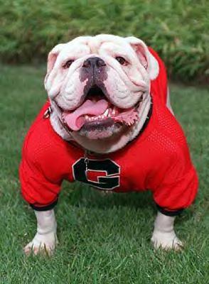 GloryGloryUGA's profile picture. Live from the Glory Glory headquarters, the latest on UGA news, sports and merchandise.