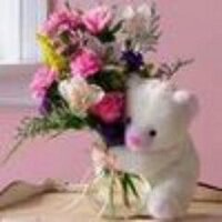 uthara unnikrishnan (@utharamalu) 's Twitter Profile