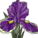 Iris Hicks - @luvnfam - Twitter