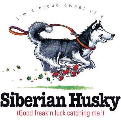 Political incorrect, paratrooper veteran food loving, Head chef Urban Musher ( yes some of us in Ireland like Sled dog racing)Guardian of two adorable Huskies