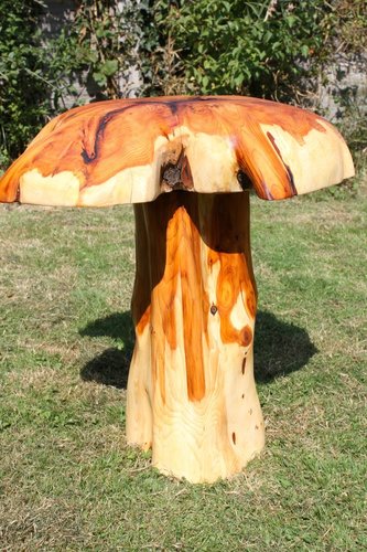 pixie mushrooms