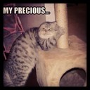 Arden Glenn - @ArdenGlenn376 - Twitter