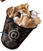 I live for coffee!!!!