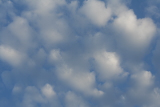 Sharing links on the environment, mindful living & other critical issues