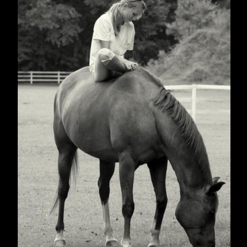 ThatEquestrian's profile picture. Tweeting to the best of our knowledge about EVERY kind of equestrian. Equestrains have the same passion and love for their horse no matter what you ride. -L&T