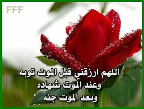 حسبي الله لاإله إلا هو عليه توكلت وهو رب العرش العظيم