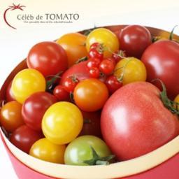 トマト専門店 Celeb de TOMATO の公式オンラインショップです。スタッフおすすめ商品や更新情報などをお知らせしています。
セレブデトマトの総合情報 @celebdetomatoJP もご一緒にどうぞ！