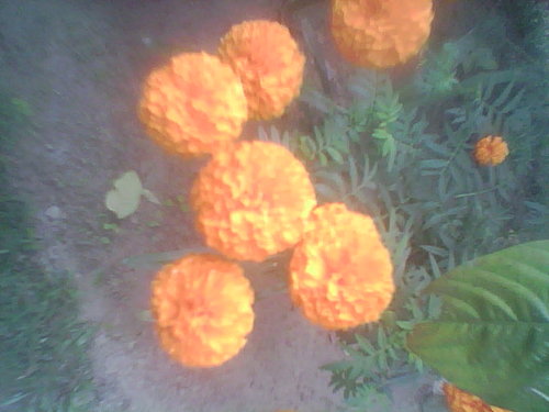 tipsyonline1's profile picture. 