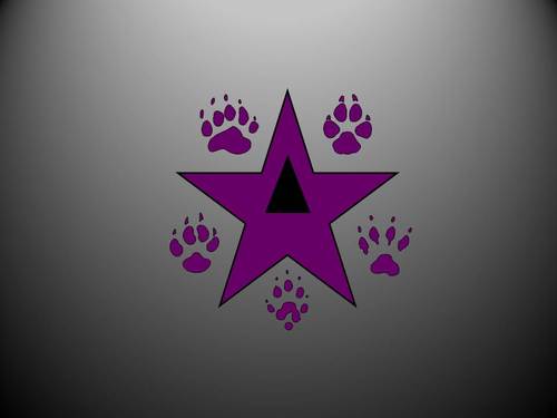 Cheerleading and Dance Embassy Mexico City / México D.F 
#cheertalent #cheerleading #AcroStarsMx