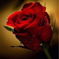 fooz (@abdullahfooz) 's Twitter Profile