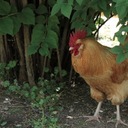 A Paul Clark - @APaulClark - Twitter