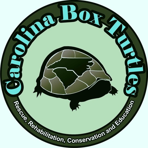 Carolina Box Turtles is a non-profit box turtle rescue, rehab, conservation, and education group in North and South Carolina.