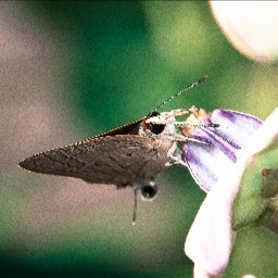 ImmaMbuguni's profile picture. Owner, Managing Editor, Majira, Daily national Swahili newspaper in Tanzania and Timesmajira online tv, https://t.co/ynG3z0H5SW